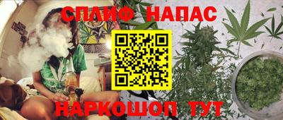 ECSTASY Донской